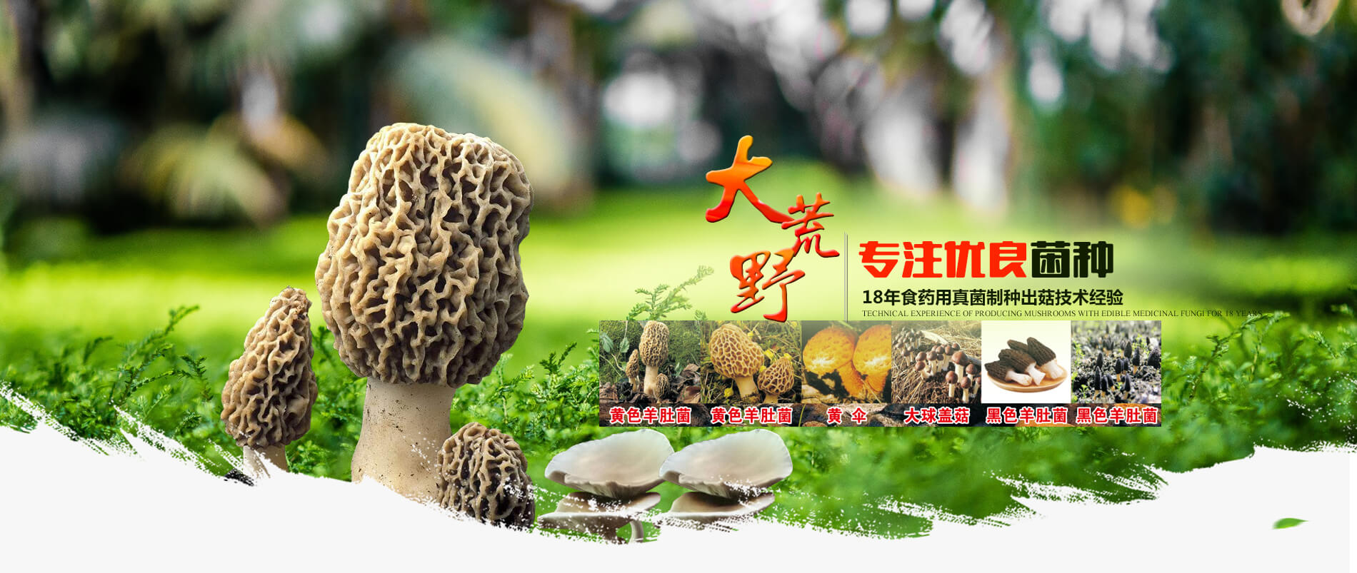 洛陽大荒野生態農業有限公司